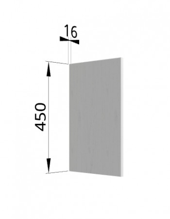 Панель торцевая (для шкафа горизонтального высокого) ВПГ Ройс (Графит софт) в Ирше - irsha.mebel54.com | фото