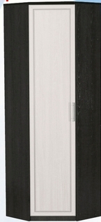 Шкаф для одежды угловой ДЛЯ ГОСТИНОЙ ШОУ-695 Венге/Дуб выбеленный в Ирше - irsha.mebel54.com | фото
